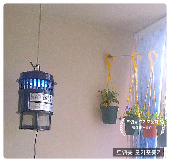 더본커머스 이미지