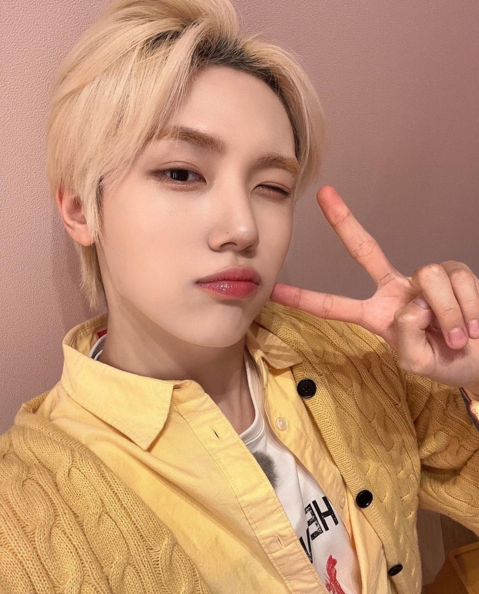 더바이닐 이미지