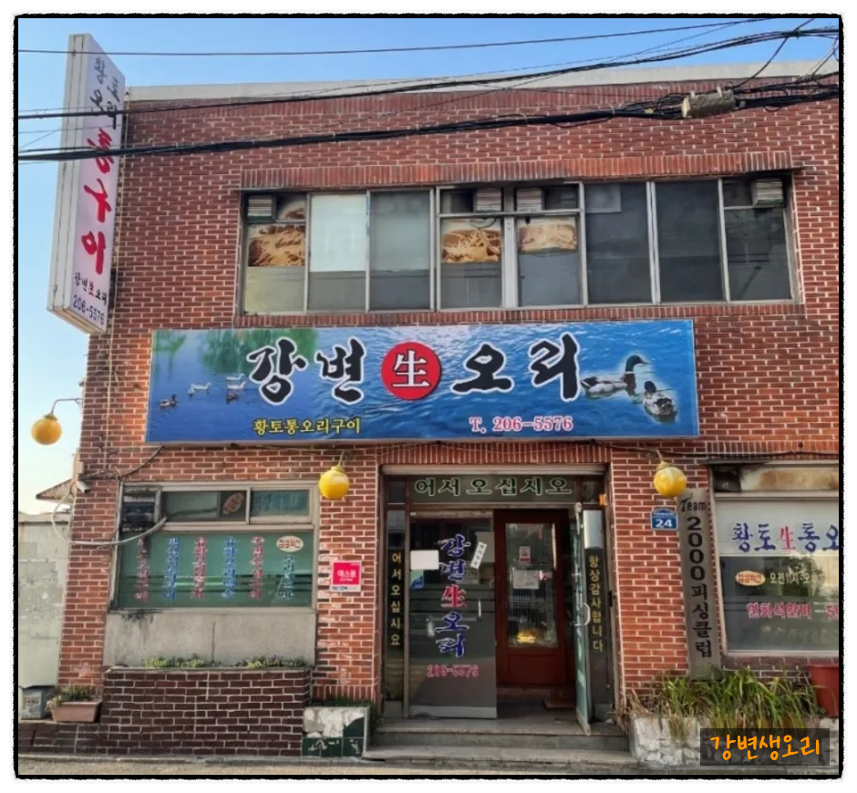강변생오리 이미지