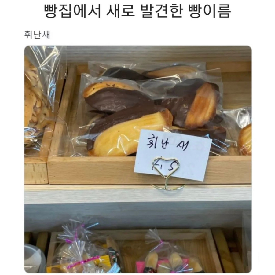 휘난새 이미지