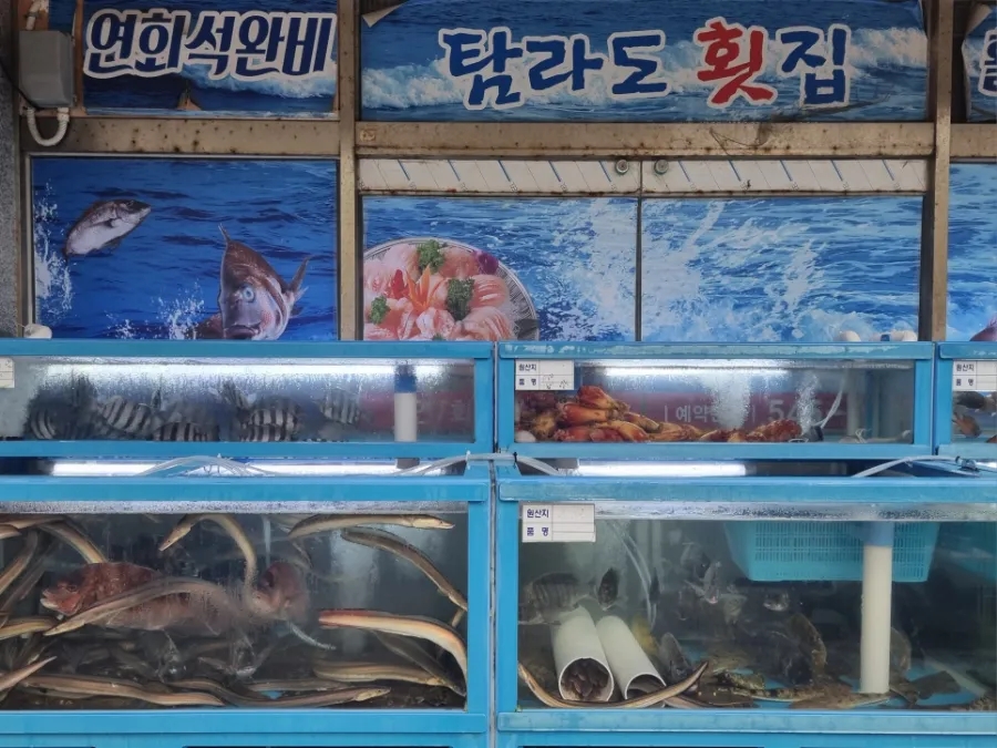 탐라도횟집 이미지