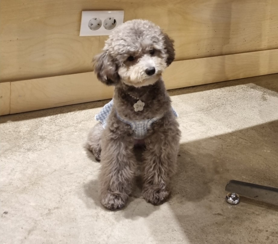 유정원카페 이미지