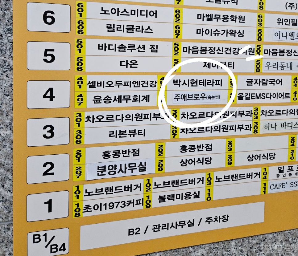 주애브로우 이미지