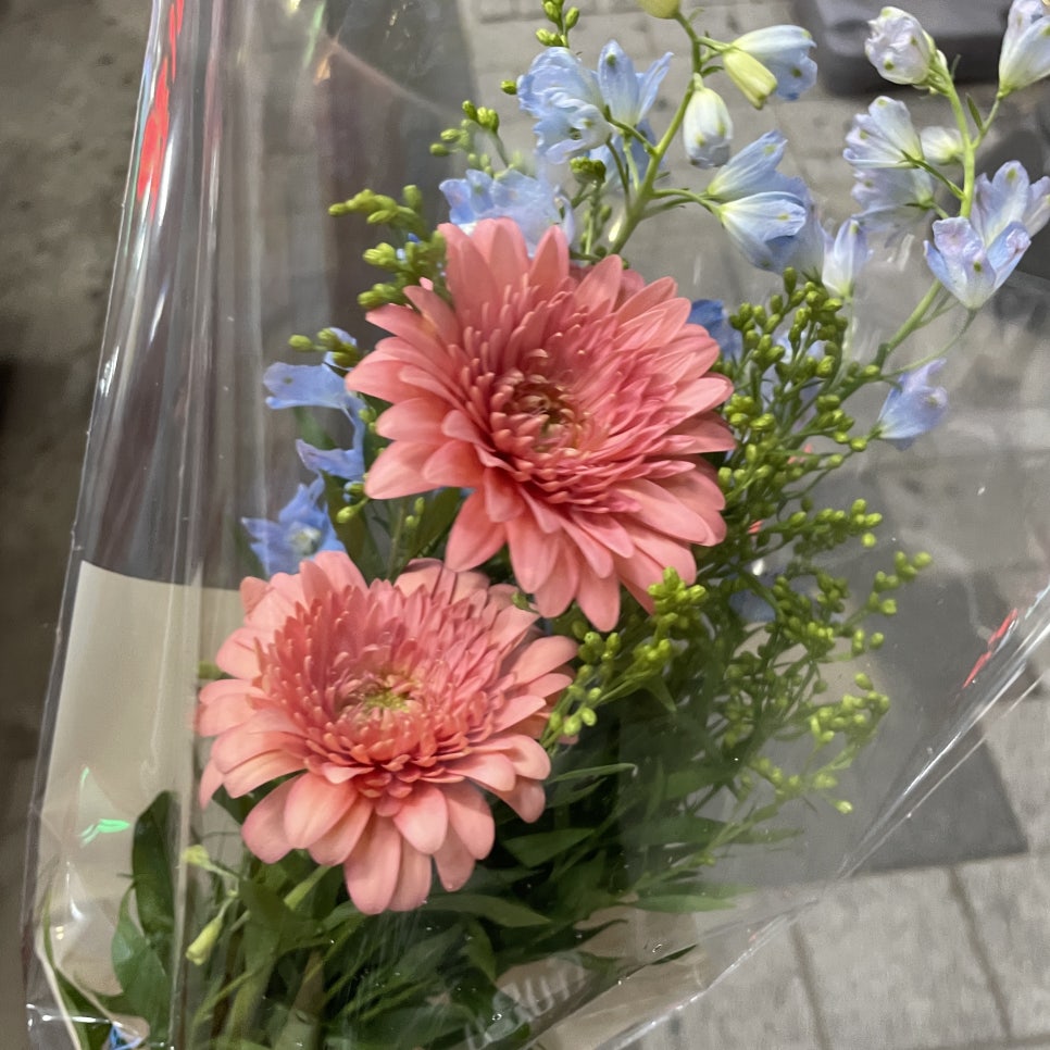 코림난플라워 이미지