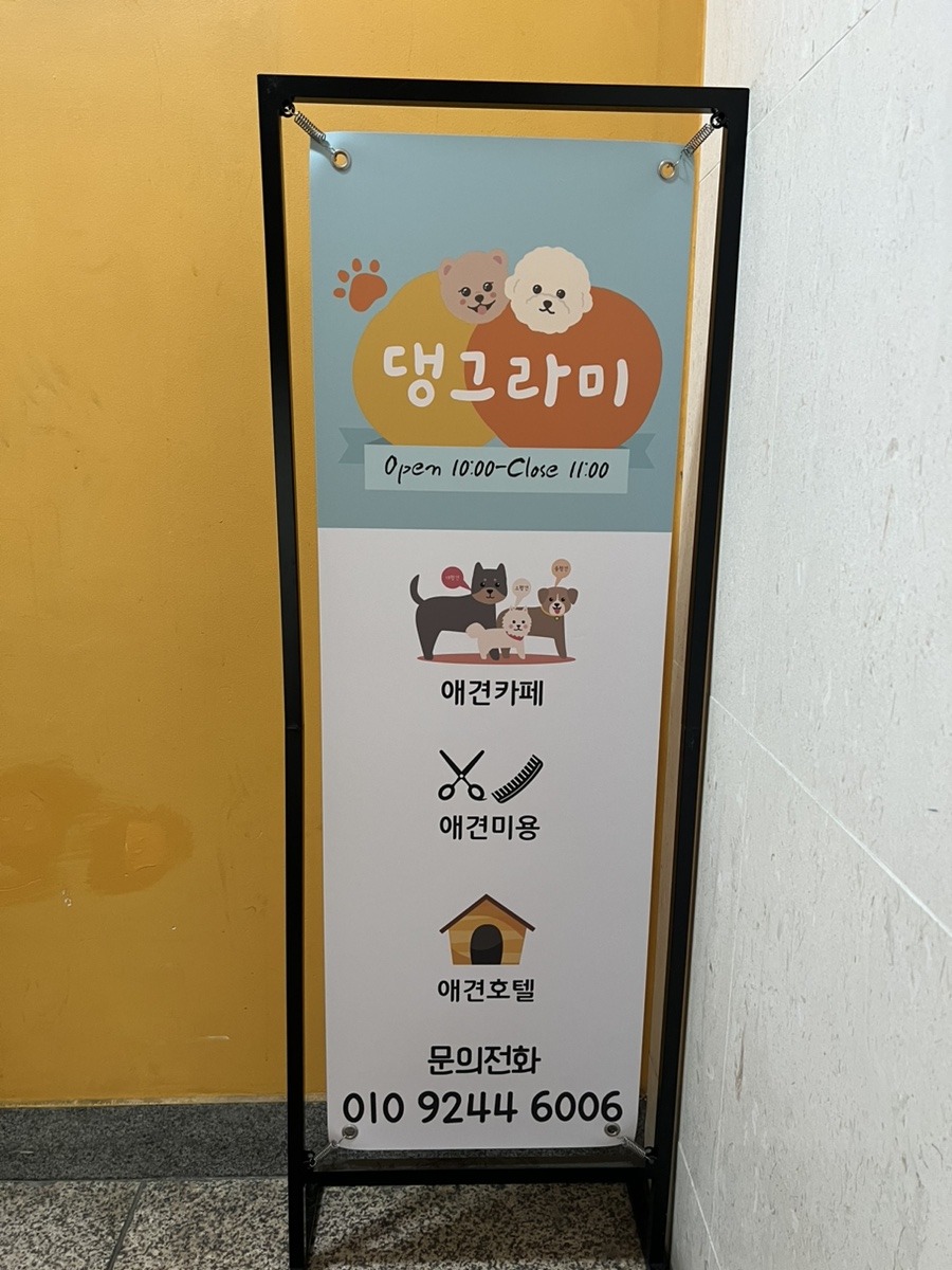 강남 애견카페 하이멍그라미, 말티푸 이브이의 즐거운 시간 — 사진 4