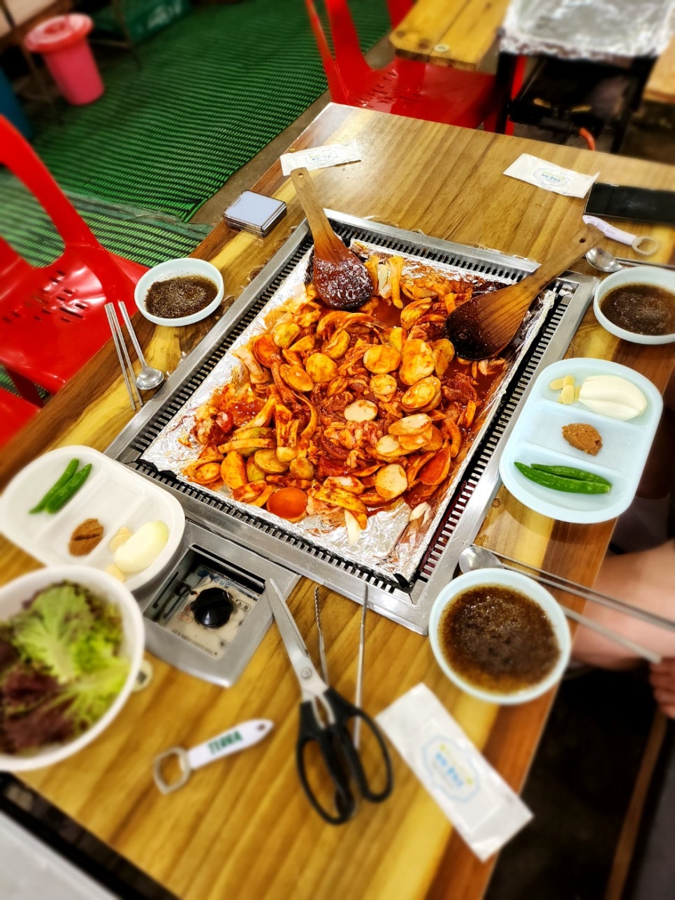 시골오리 이미지