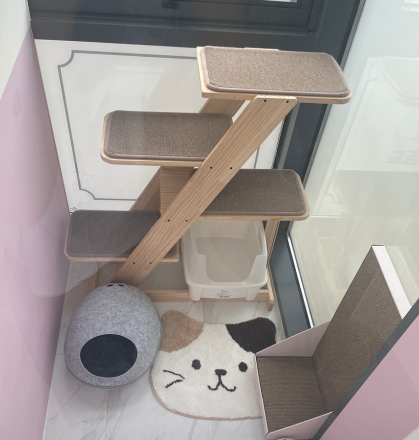 카밍캣 고양이미용 이미지