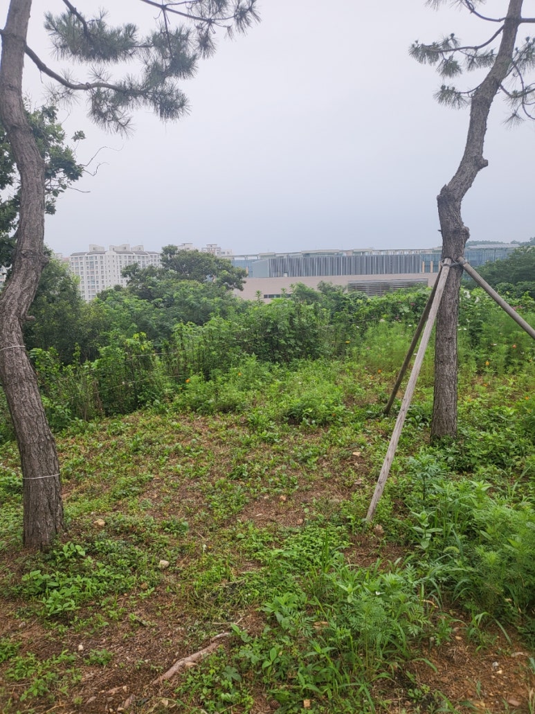 (주)파레아나 이미지