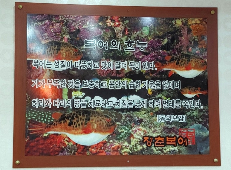 장춘복어 이미지