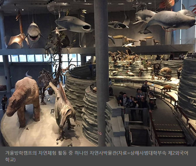 제이디글로벌에듀 이미지