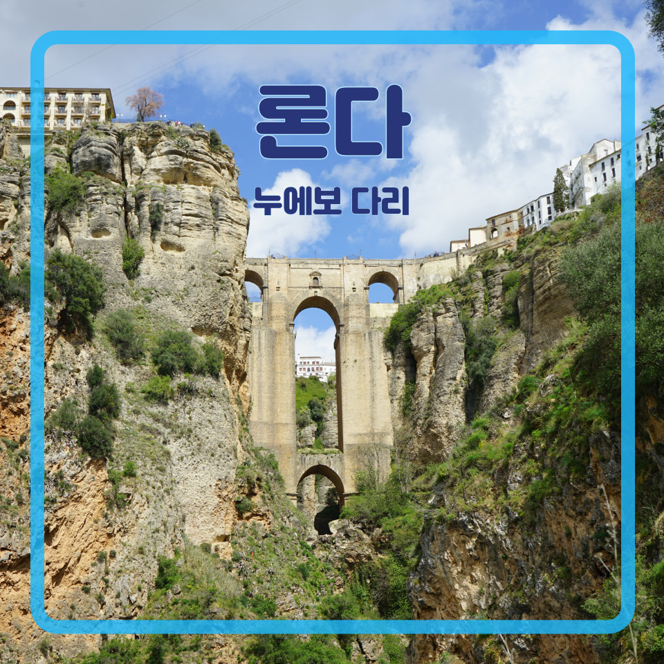 노에보 이미지
