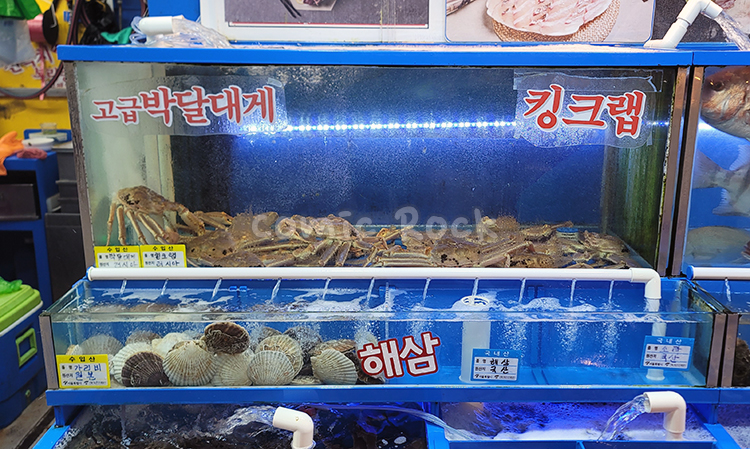 가락유통 이미지