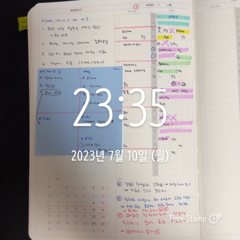마담초이 이미지