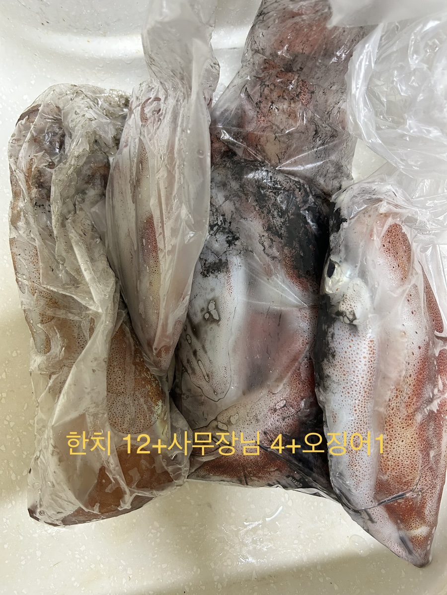 뉴태진호 이미지
