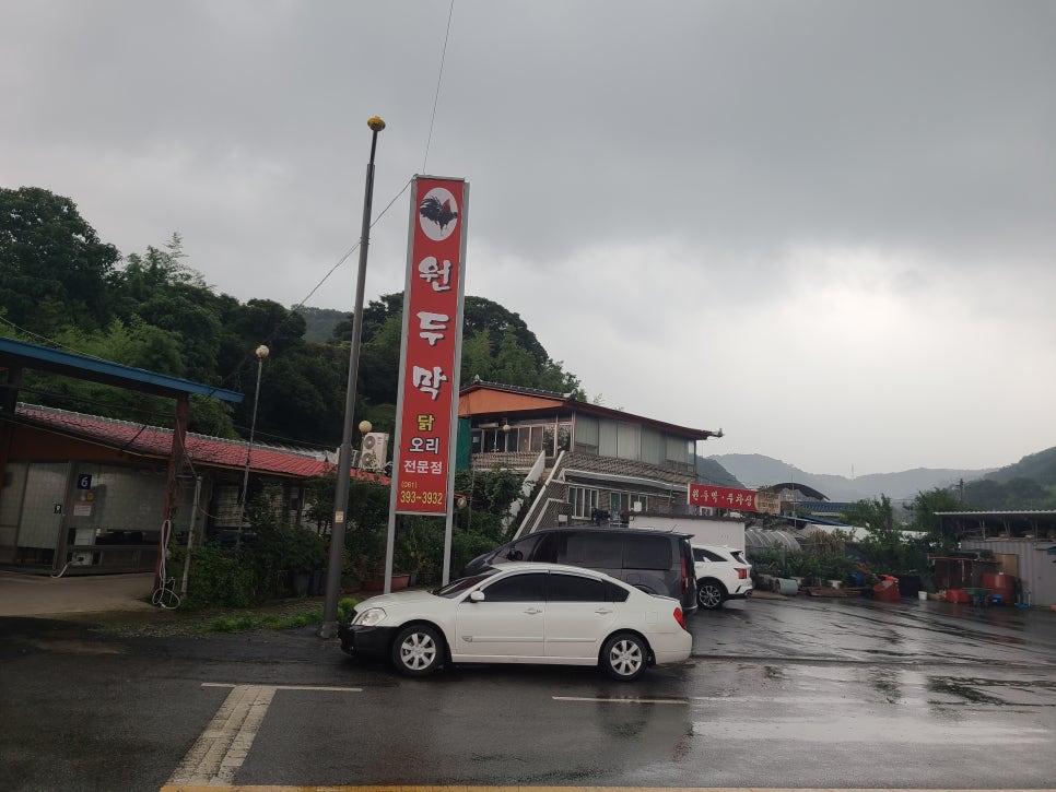 천둥옻오리 이미지