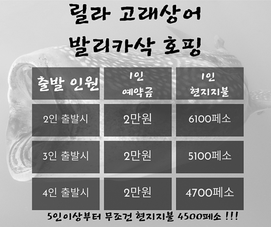 다름투어 이미지