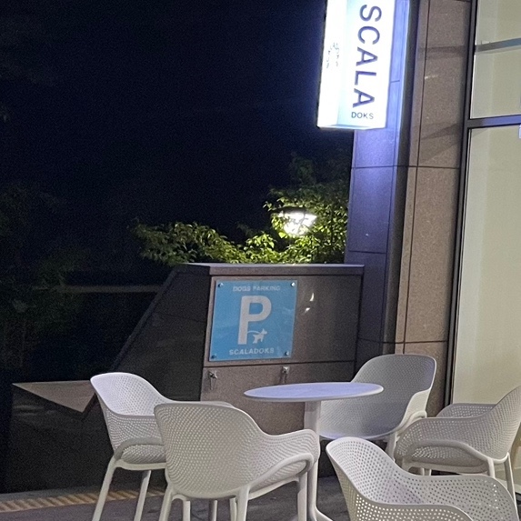 스칼라독스 이미지