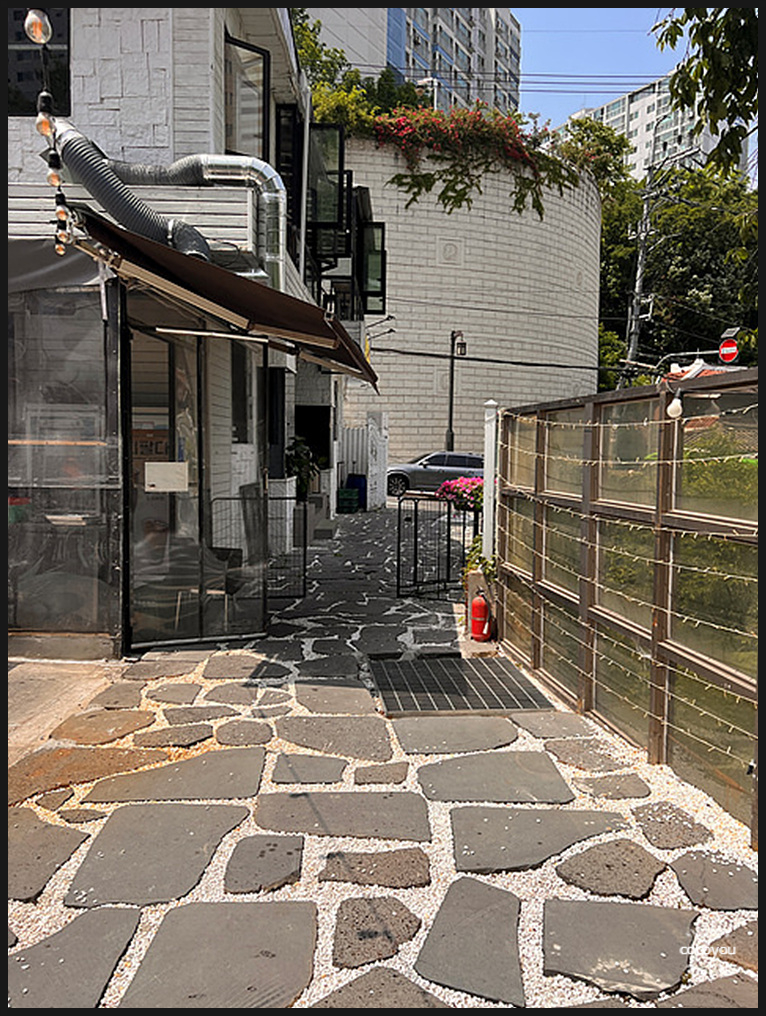 한라산도새기 이미지