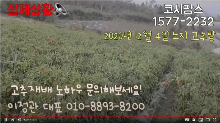 코시팜스 이미지