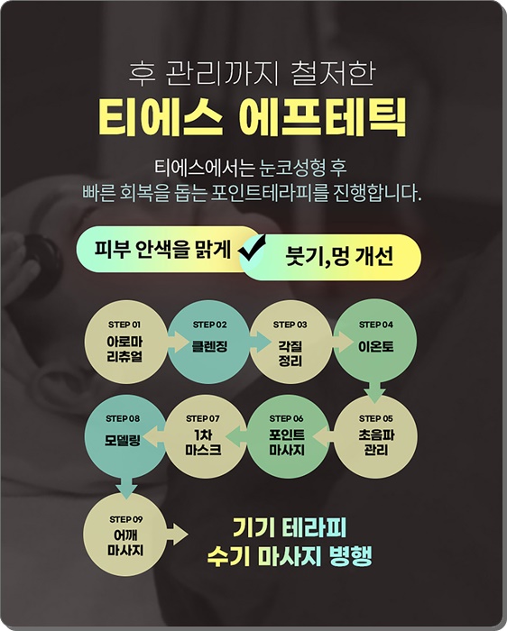 한코티에스 이미지