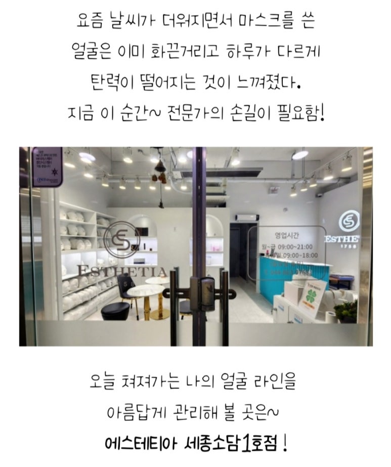 에스테티아세종소담 이미지