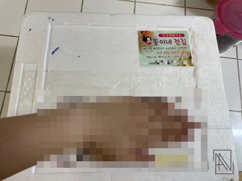 뚱이네전집 이미지