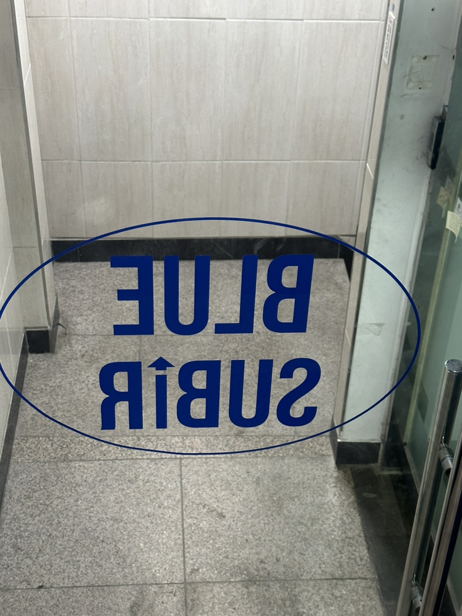 블루수비르 이미지