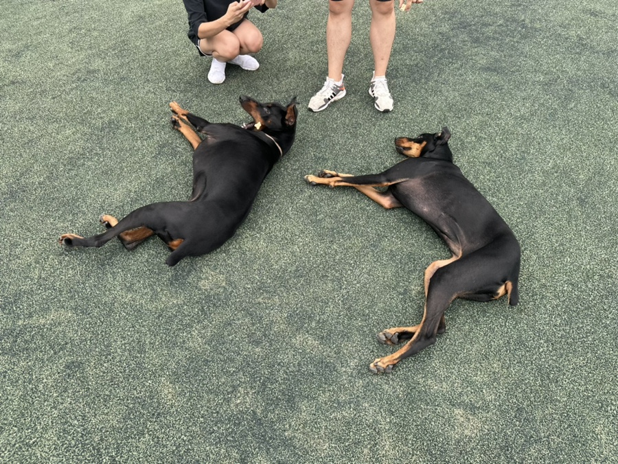 (주)루뻬 이미지