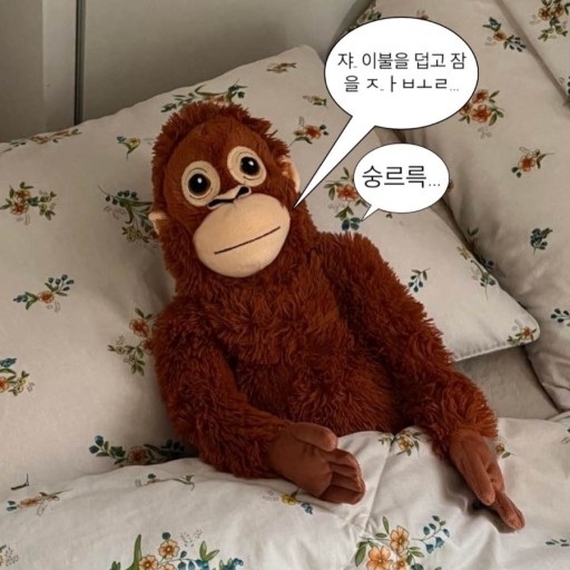 쏘쏘하루 이미지
