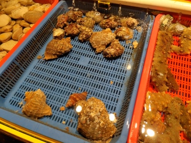 화랑매운탕 이미지