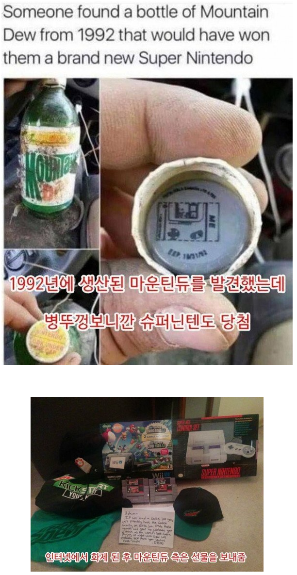 마운틴본 이미지