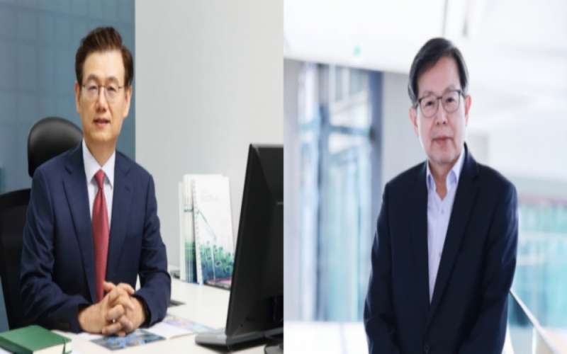와이글로벌 이미지
