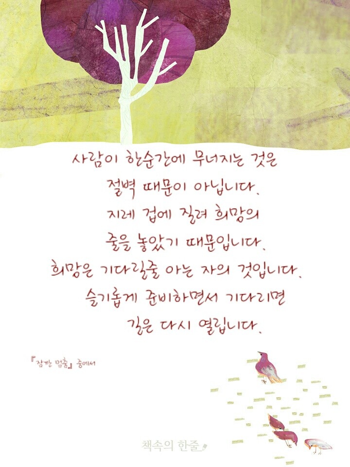 슬림점핑 이미지