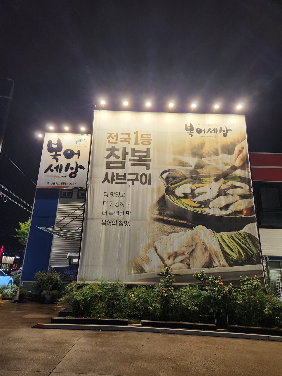복어세상 이미지