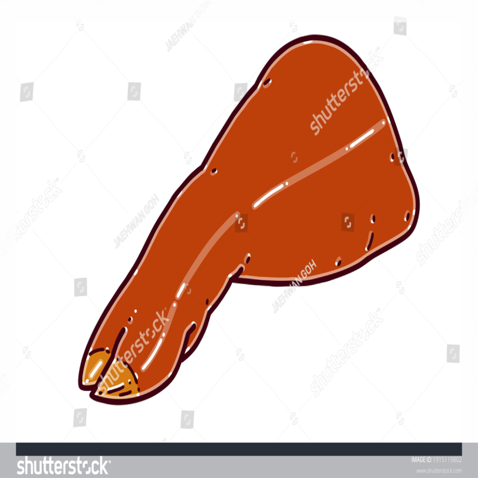 설렘족발 이미지