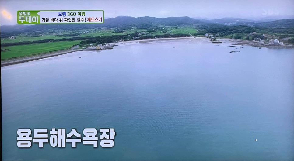 타고플라이 이미지