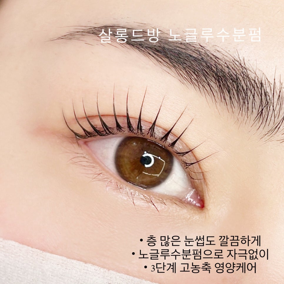 살롱드방 이미지