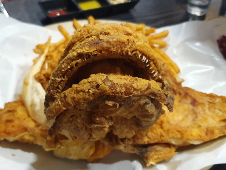 육사심대갈통 이미지