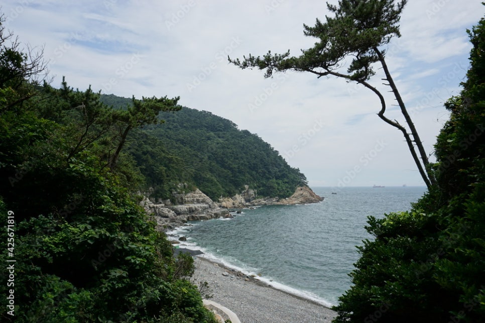부산갈메기 이미지