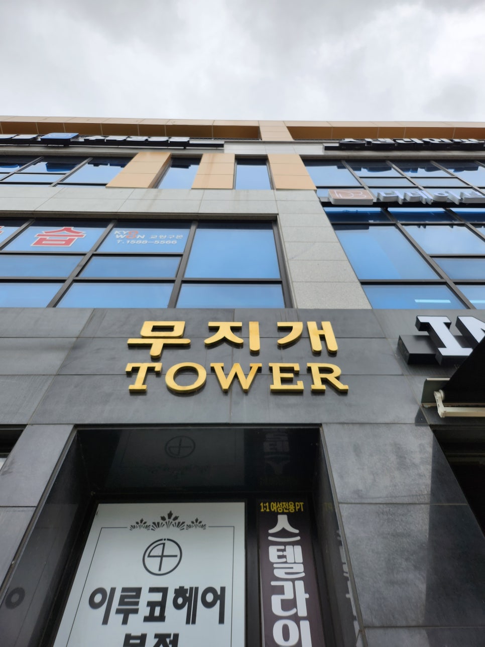 디데이브로우 이미지