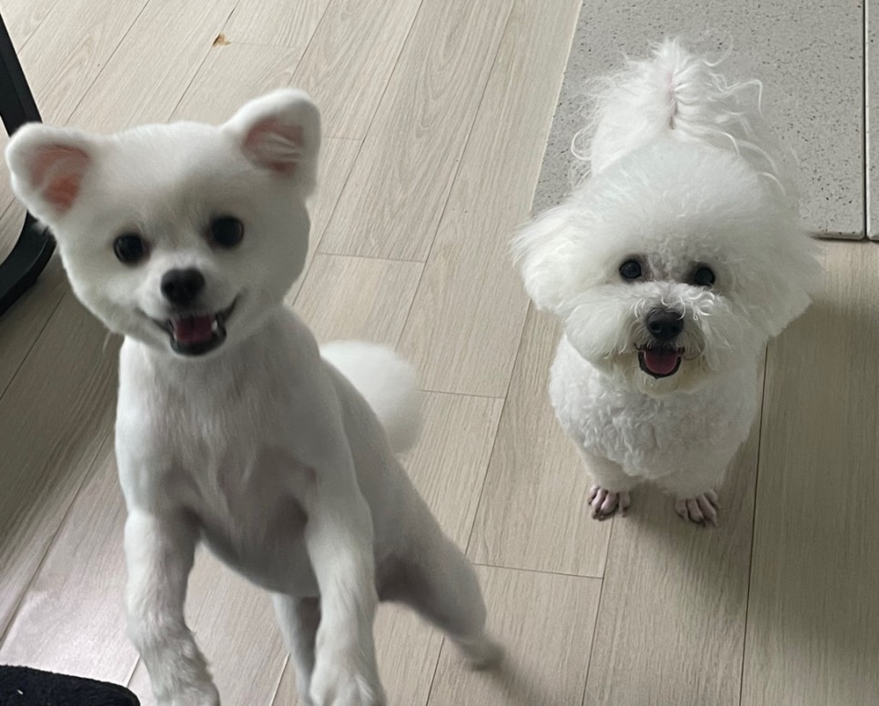 홍등원 이미지