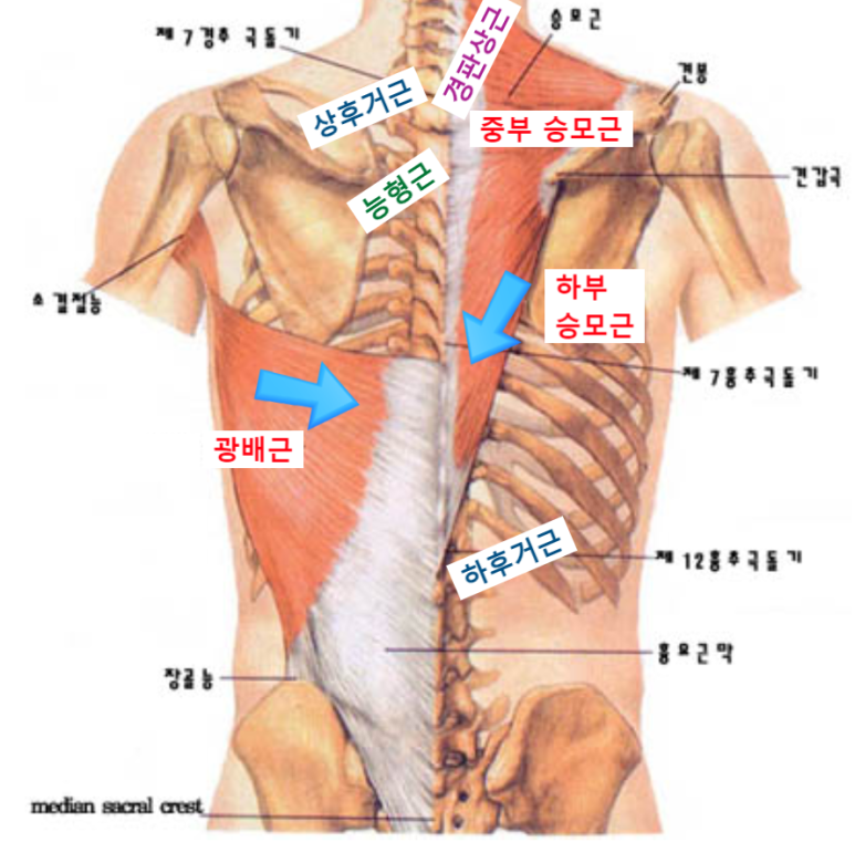 운동에반하다 이미지