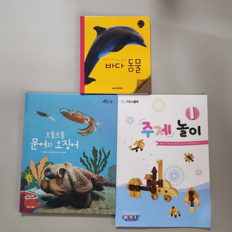 크리에이티브문어 이미지