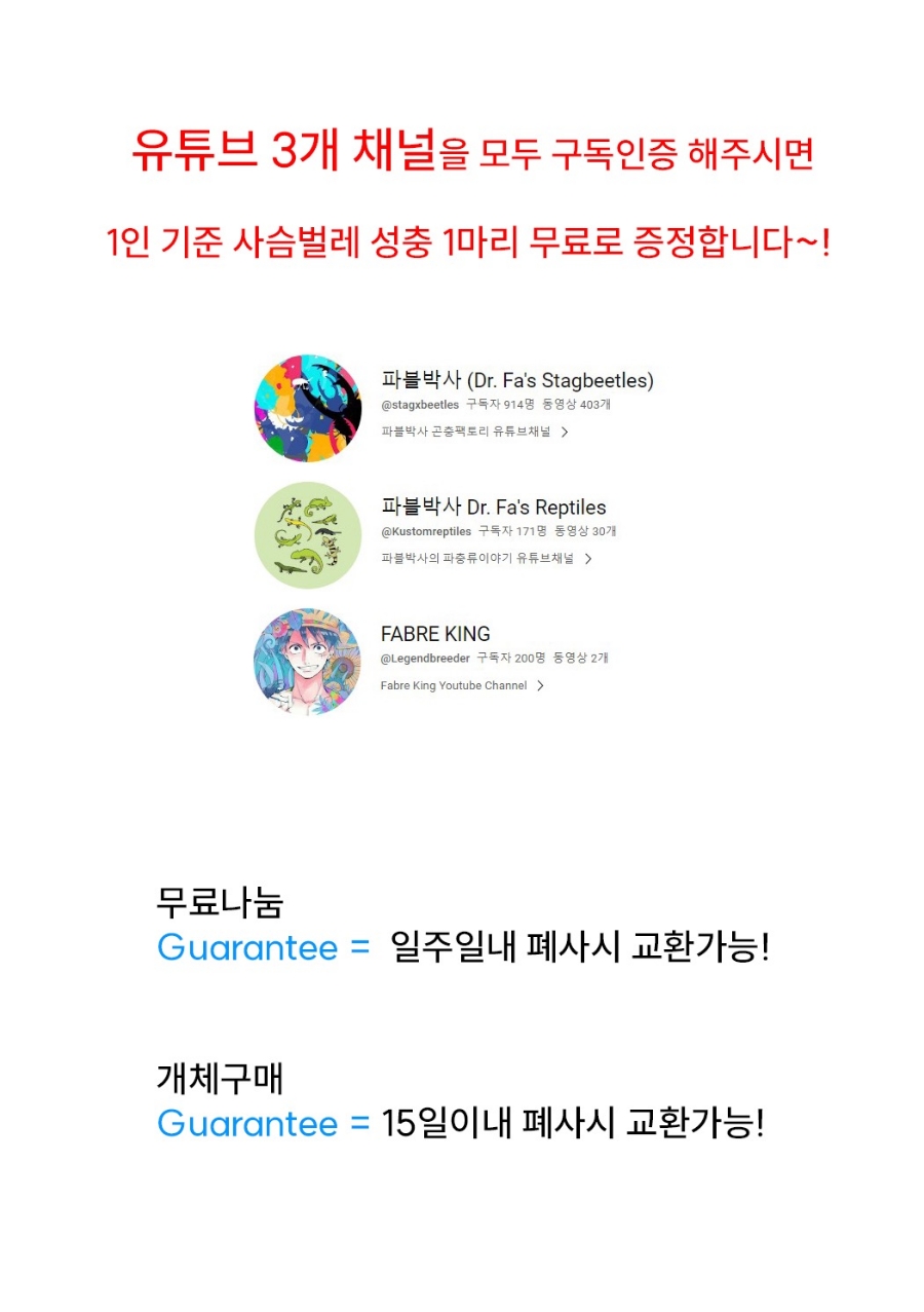 파블박사 이미지