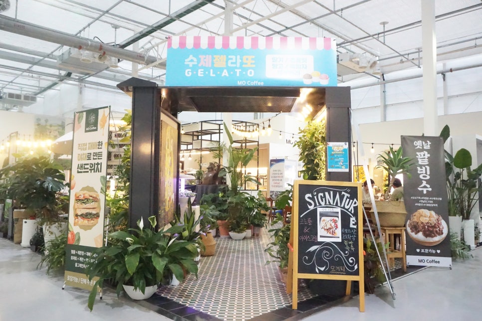 모초록 이미지