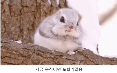 성신슈퍼 이미지