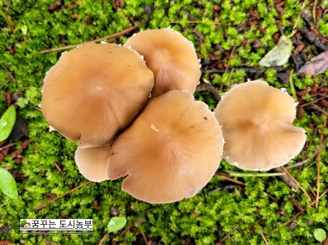 시립고색뉴지엄어린이집 이미지