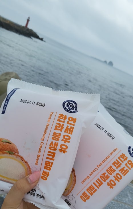 아리랑카 이미지