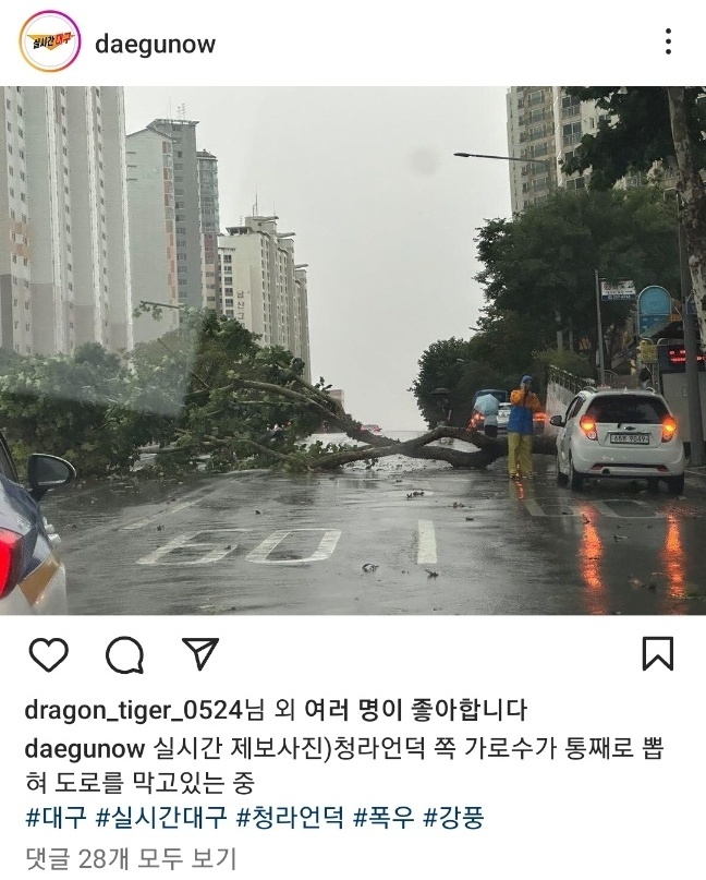 카페비일상 이미지