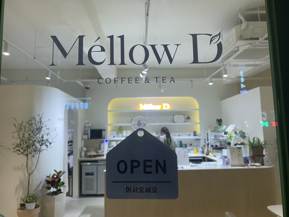 멜로우디(MELLOW:D) 이미지